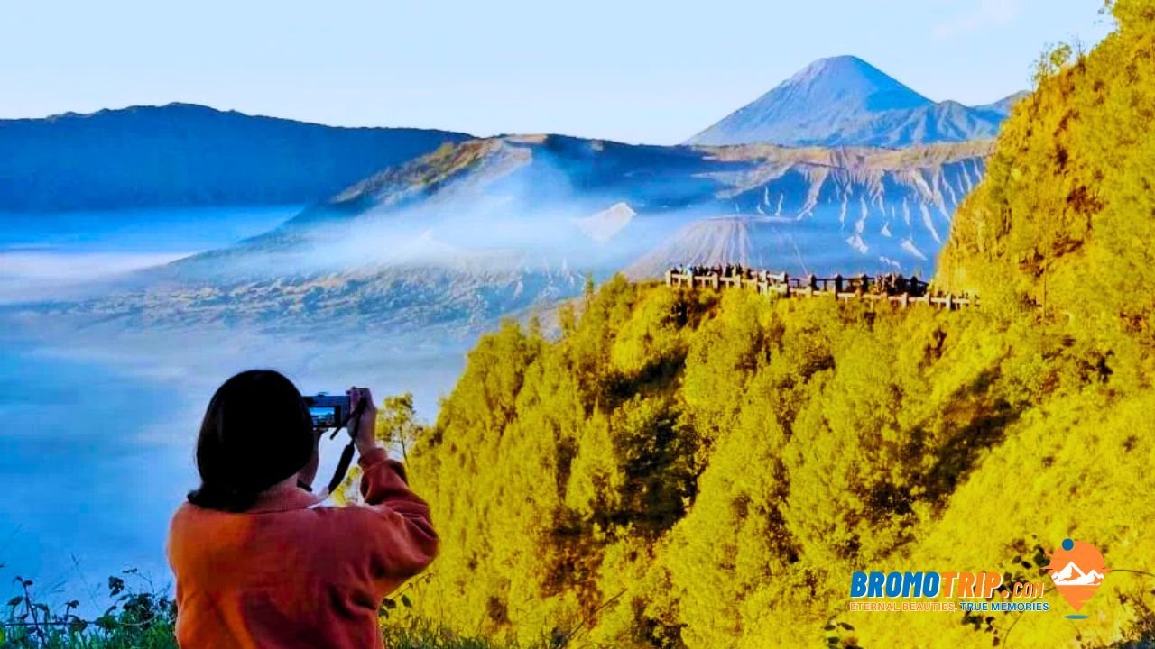 Bukit Kingkong Bromo Tour