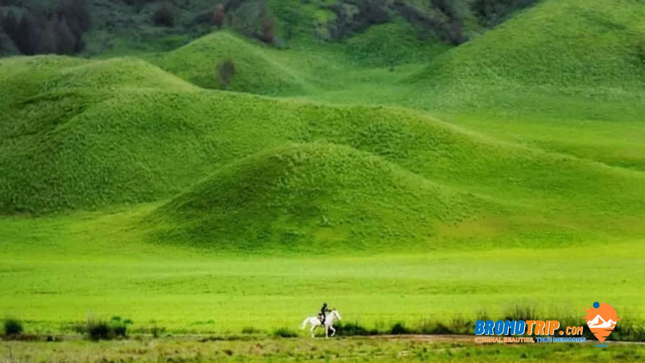 Wisata Bukit Teletubbies