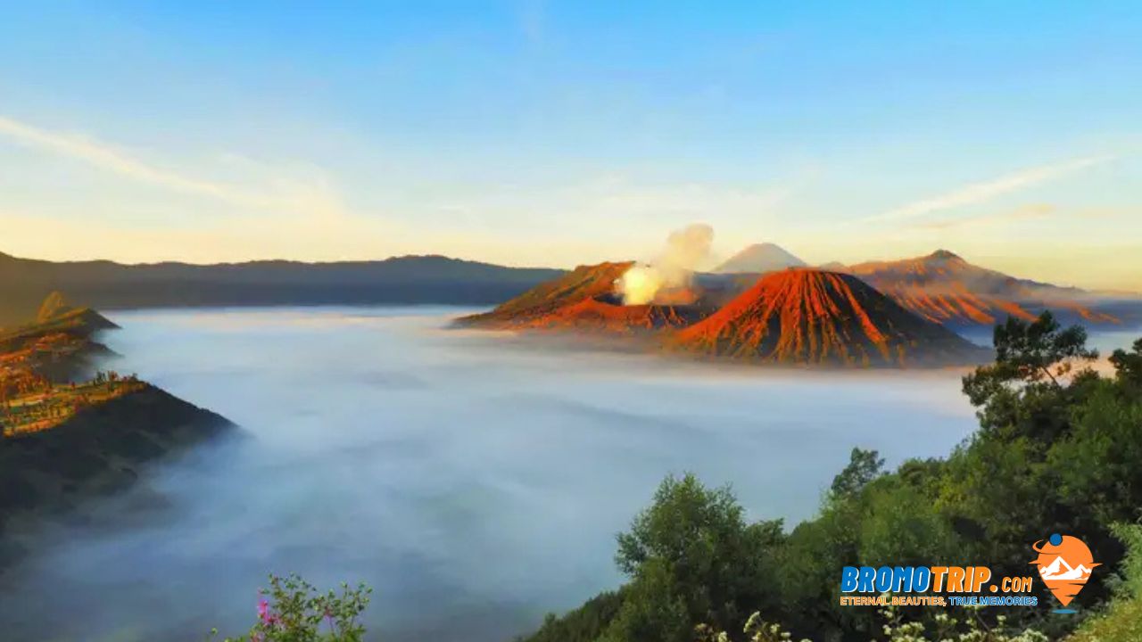 Read more about the article 7 Spot Wisata Bromo yang Wajib Dikunjungi Wisatawan Lokal dan Mancanegara!