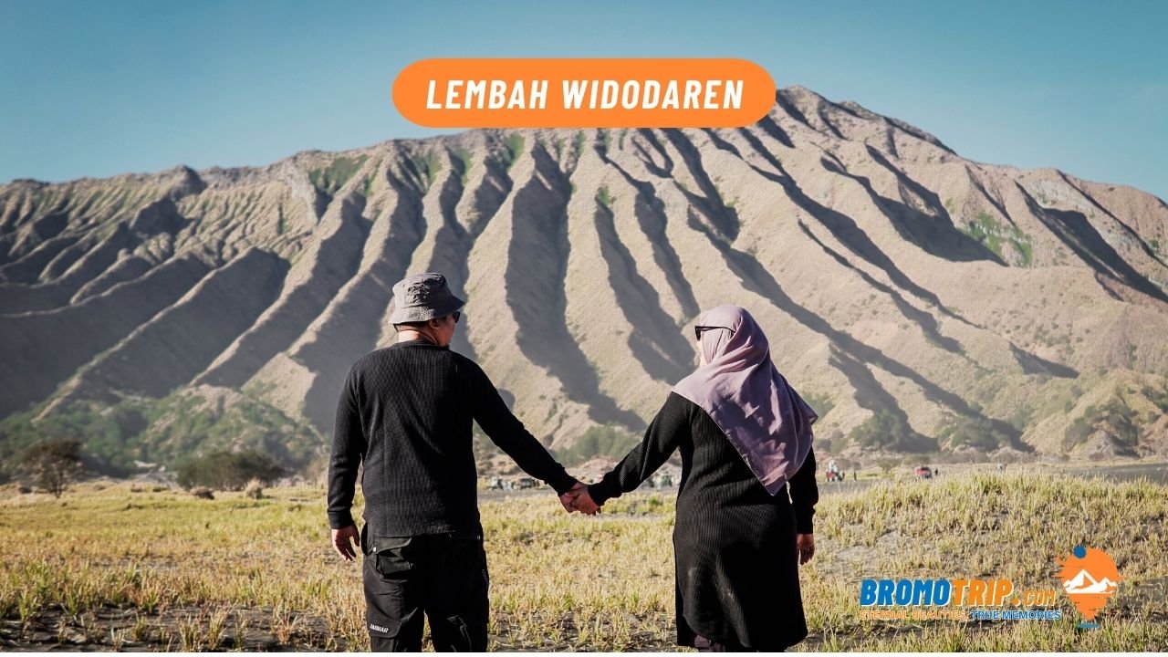 sharing trip bromo mount