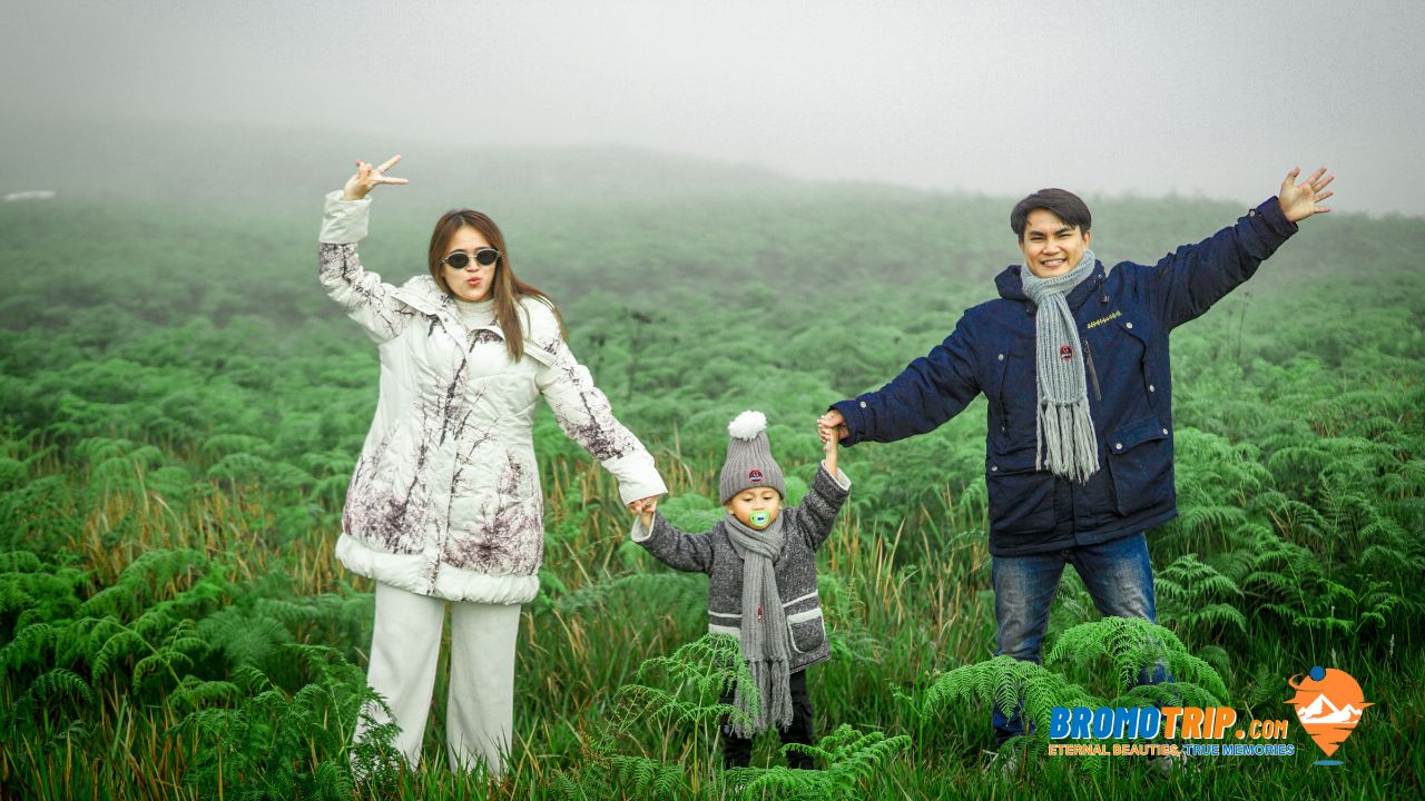 Piknik Bromo Tour