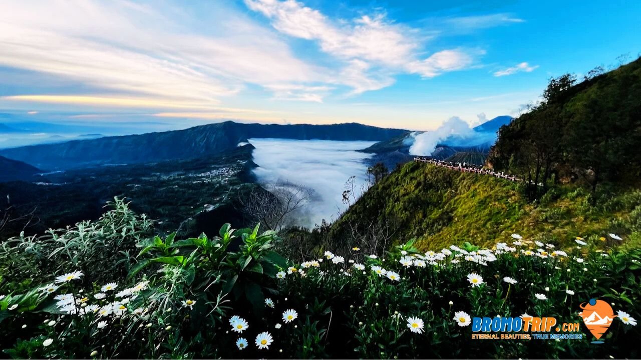 Kingkong Hill Viewpoint Bromo