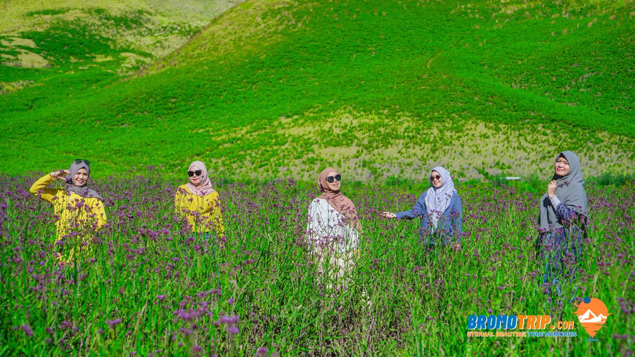 Bromo Tour Travel