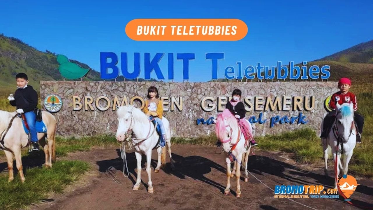 bukit teletubies bromo
