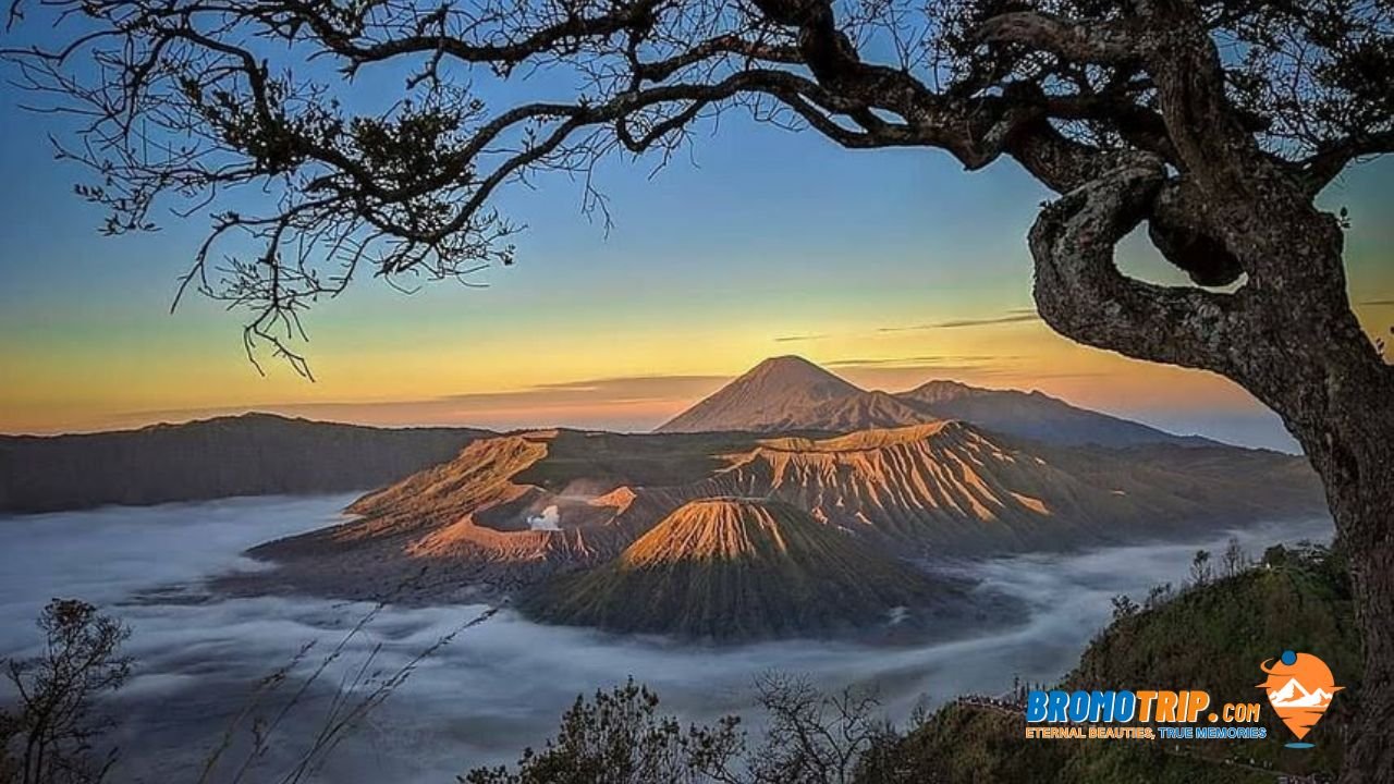 Sunrise Pananjakan Bromo