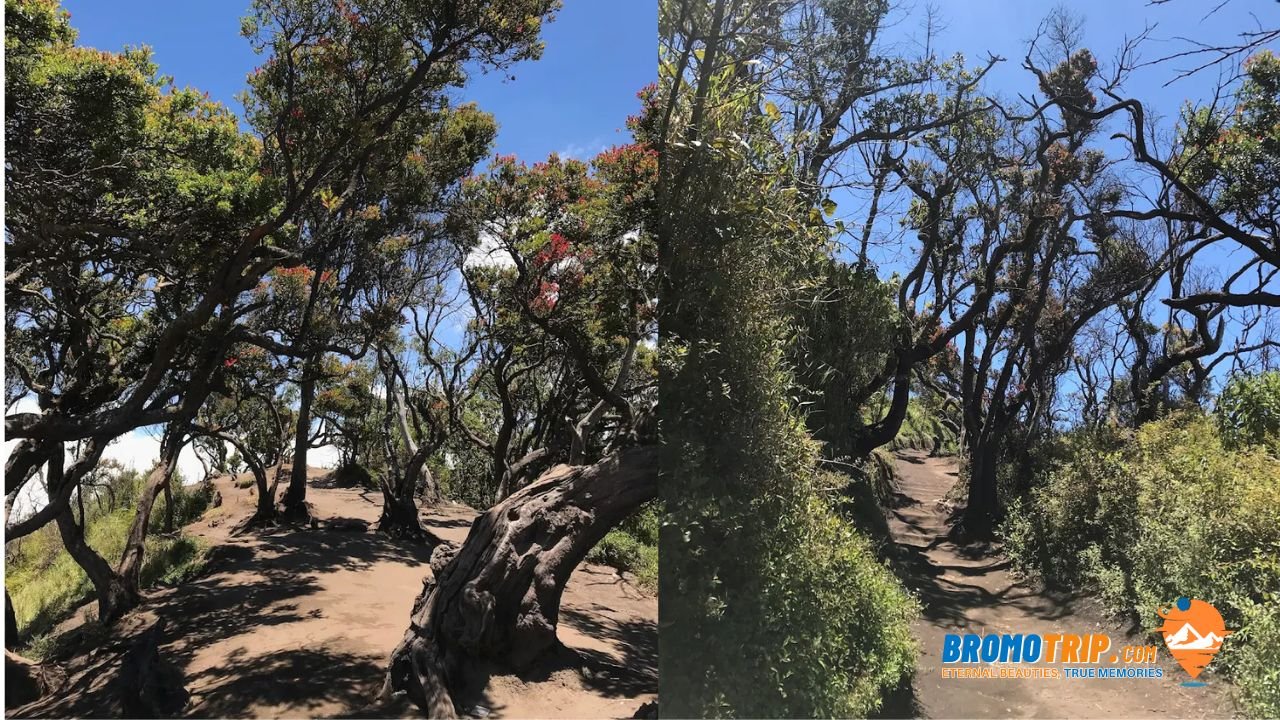 rute transport bukit perahu