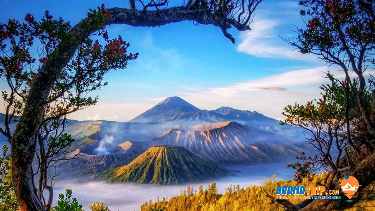 Spot Photogrpher Pananjakan Bromo