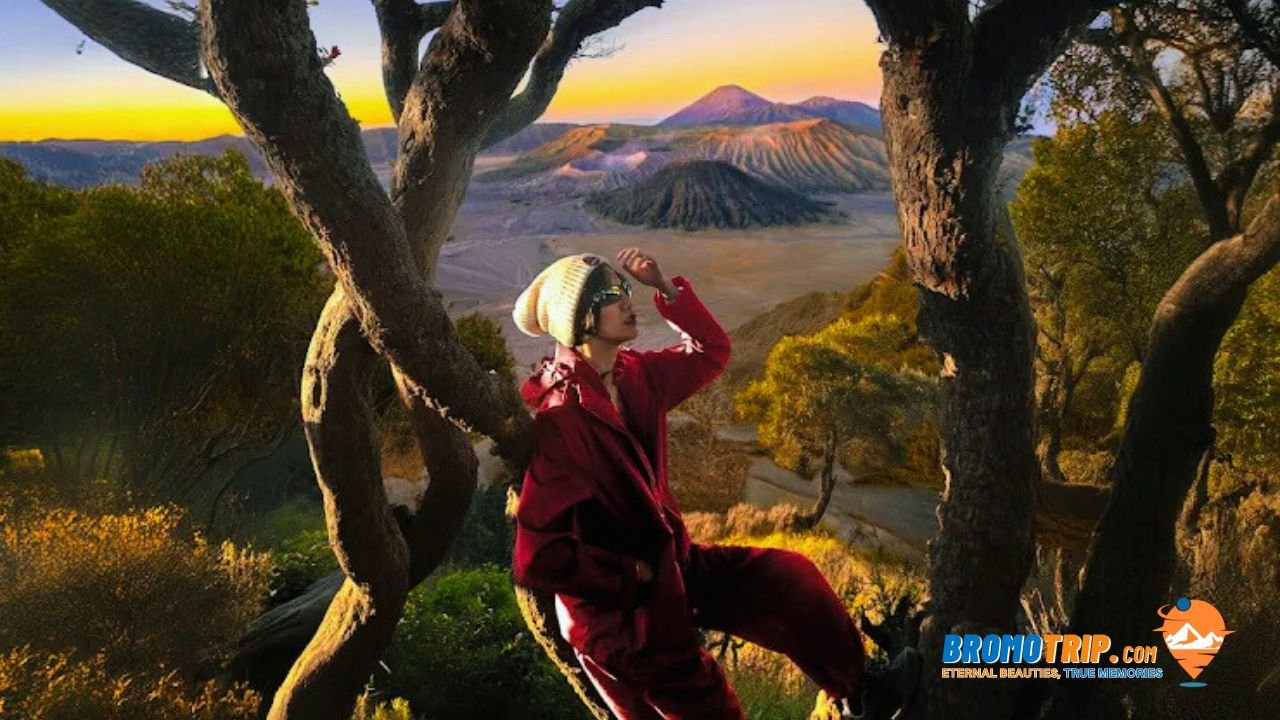 spot sunrise bromo tour
