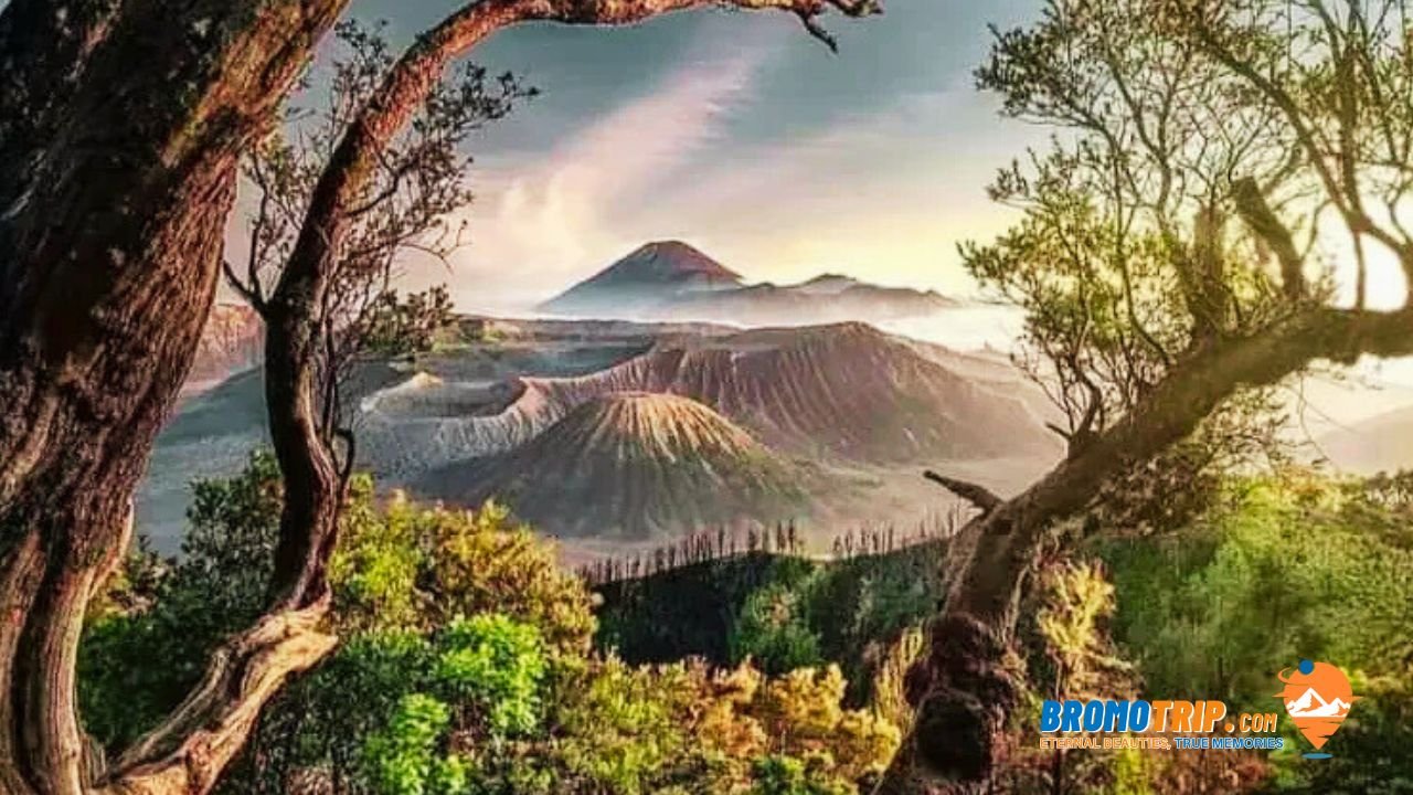 sunrise tour bromo mount