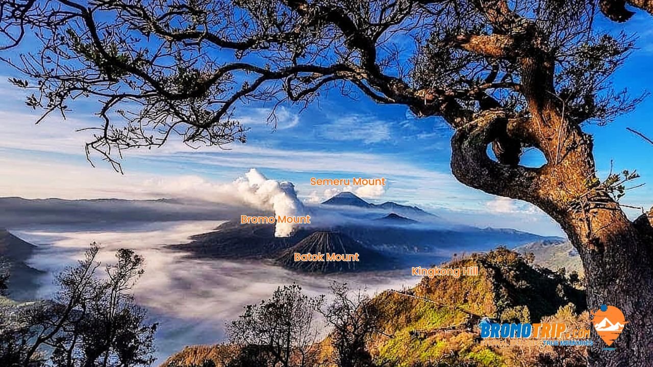 Lokasi Bukit Perahu Bromo Sunrise